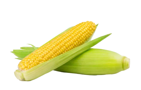 Corn 600 _ buburorganikweleri.com